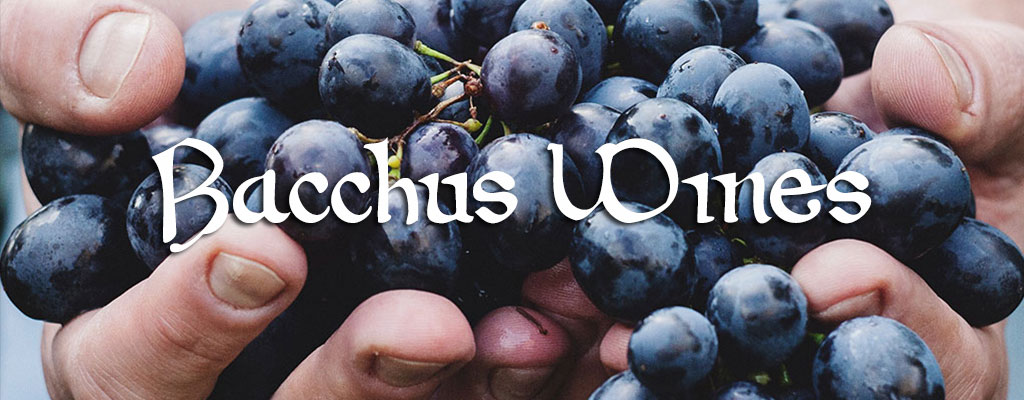 Close up view of man holding a bunch of purple grapes with the words Bacchus Wines in front